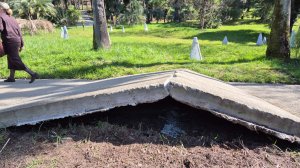 Сочи парк Дендрарий после землетрясения