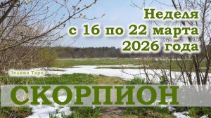 СКОРПИОН | ТАРО прогноз на неделю с 16 по 22 марта 2026 года