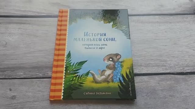 Книга История маленькой сони, которая весь день была не в духе Сабина Больманн
