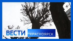 Вести. Красноярск от 13.03.2026