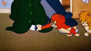 Три кота Джерри