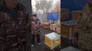 Встреча пчеловодов Саратова осенью 2025года