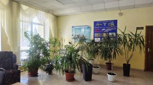 Доживём до понедельника!🐞🦋🐌Влог!🐾