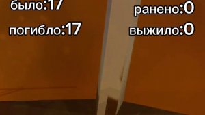 27-ая авиакотострофа