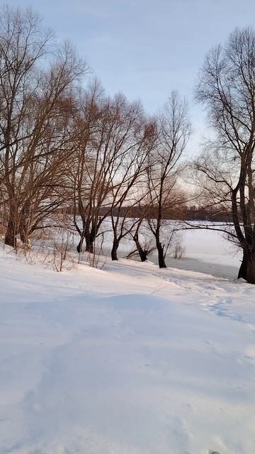 Разве это не прекрасно? ( 13 марта)