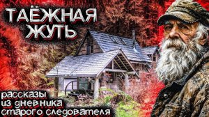 В Этой Тайге на Урале Происходили Ужасные События | Мистические Страшные Истории на ночь