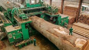 Внутри крупнейшего лесопильного завода – как производится фанера. ПОЛНЫЙ ПРОЦЕС