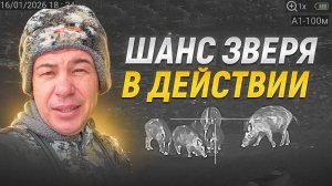 Шанс зверя в действии | Рекомендуется к просмотру критикам охоты с вышки