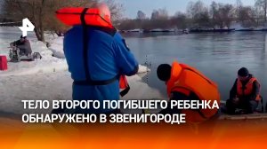 Тело второго погибшего ребенка, пропавшего семь дней назад, обнаружено в подмосковном Звенигороде
