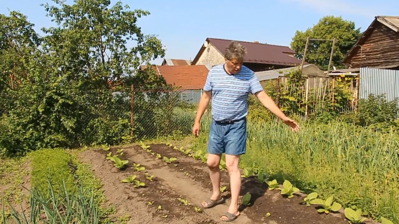 ТАБАЧНЫЙ ИЮНЬ 9 лет назад: к Дню рождения Пушкина ВЫСАДИЛИ ВЕСЬ ТАБАК! «Сады порока» 2 сезон 7 серия