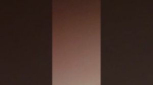 я выживаю 100 дней Minecraft хардкор