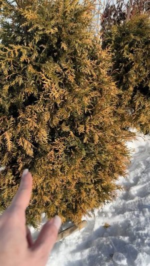 Весна пришла!