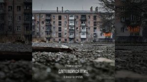 Донбасс 22 П.Мамонов