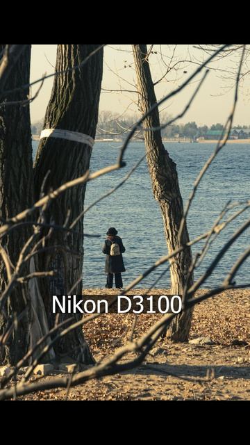 На что способен Nikon AF-S DX Zoom-Nikkor 18-70mm f/3.5–4.5G ED-IF в 2026 году?