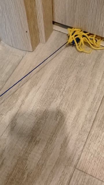 ниточка или рука хаги-вагивича