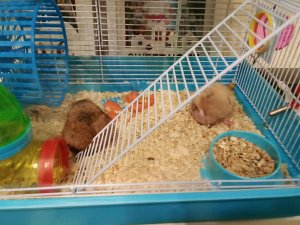 обзор что я буду дарить своим подругам