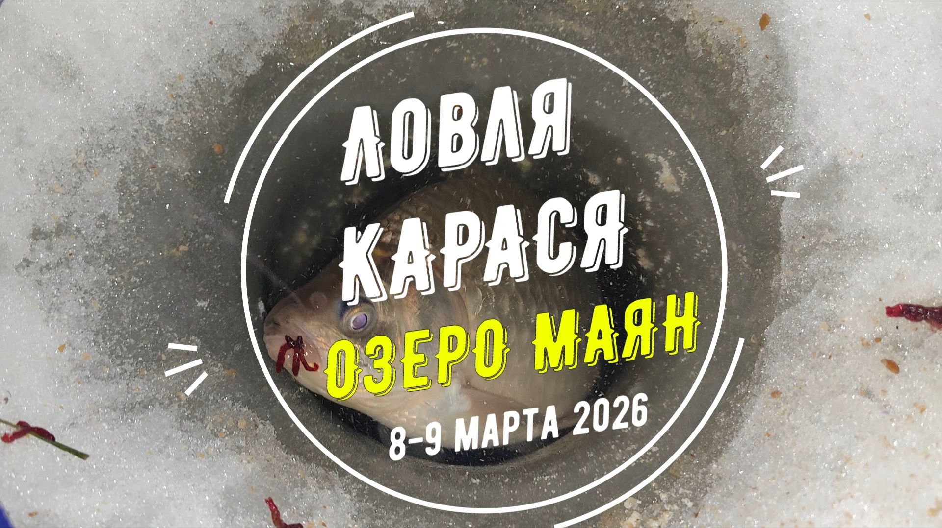 ✅ Карась в марте. Зимняя рыбалка. Озеро Маян.