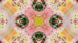 Весна! Очаровательные тюльпаны 12! Киностудия Мудрого Кота Тимофея!