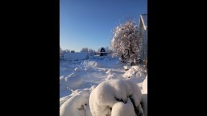 В этом году выпало много снега.