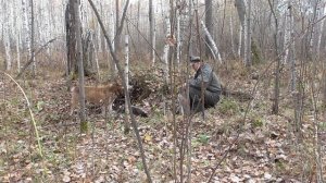 Охота с лайкой,добыли барсука и приготовил.Сезон 25-26г.