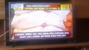 Рекламный блок (ТВ-Коряжма, 13.03.2026)