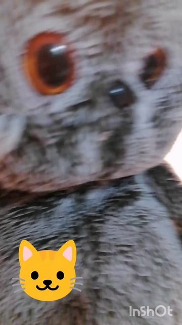 я ем сухарики.