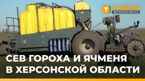 В Херсонской области начали сеять горох и ячмень