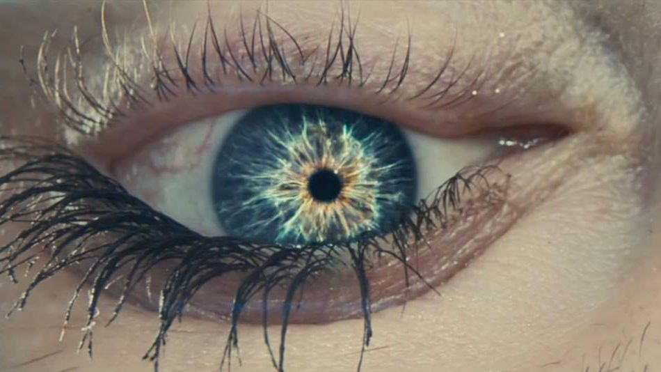 День разоблачения - фильм Стивена Спилберга