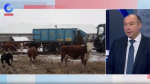 Кто решает изъять животное?