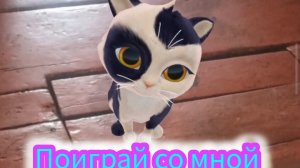 Мяу мяу котики