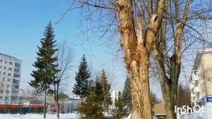 Солнечная пятница тринадцатого