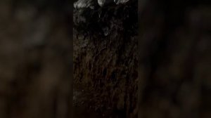 Вторая часть нашего документального проекта об операции «Поток»