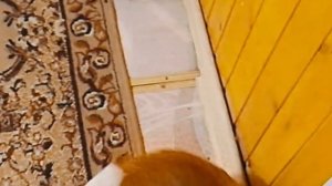 #3# Домашний влог