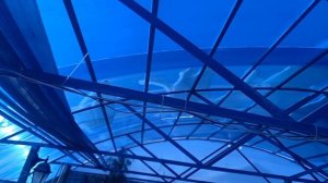 Встречаю рассвет, , день продолжается.