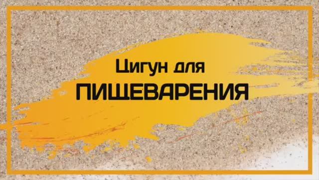 11. ЦИГУН для ПИЩЕВАРЕНИЯ. ЛИ ХОЛДЕН.