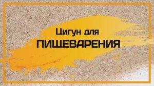 11. ЦИГУН для ПИЩЕВАРЕНИЯ. ЛИ ХОЛДЕН.