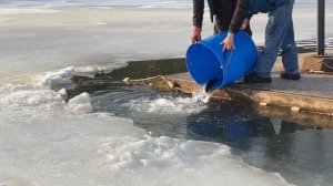 Запуск и поимки форели