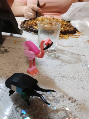 оороопррорпсирлопгх