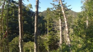 Металл с диких мест