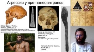 Станислав Дробышевский: Агрессия (№12)