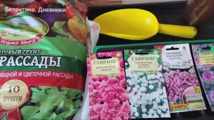 Капусте места не нашлось. Посадочных мест не хватило. Сею цветы.Вопрос о сроках посева рассады.