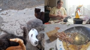 Сходила на укол.Посеяла петунии,помидоры...