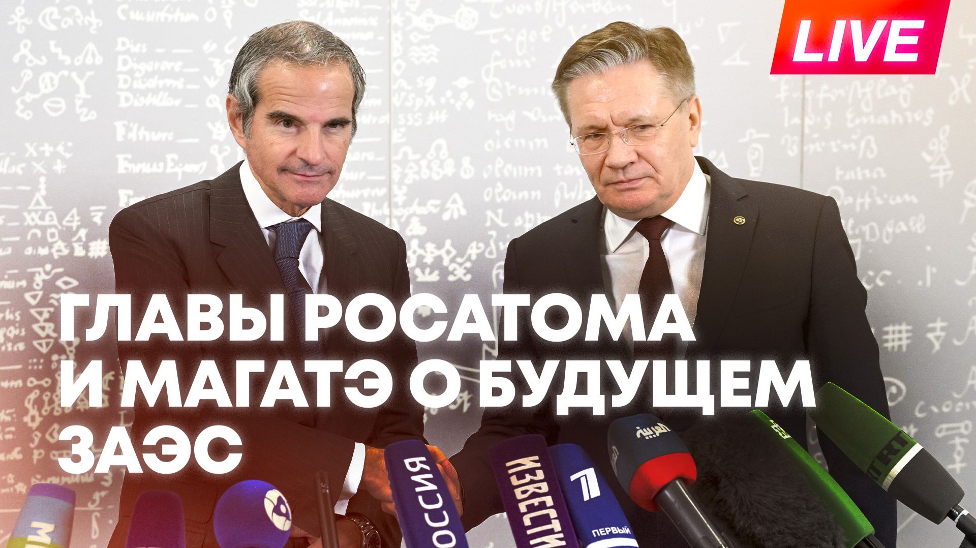 Будущее ЗАЭС, ядерное оружие и иранская ядерная программа: Пресс-конференция глав Росатома и МАГАТЭ