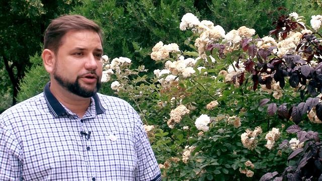 РОДИТЕЛЬСКИЕ ОРГАНИЗАЦИИ_ ЦЕЛИ И ЗАДАЧИ РАБОТЫ