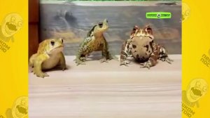 я сильно болел за него