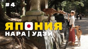 [4]ЯПОНИЯ🇯🇵Олени в Наре и Матча в Удзи!