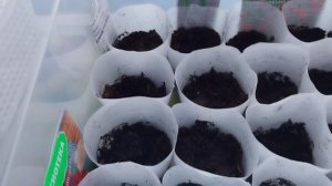 Погода шепчет,ПОРА  пришла.