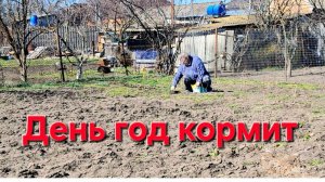 1110 Что же с ней случилось? Посевная началась на Кубани. Все в огород!