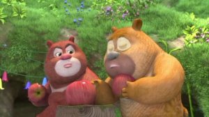 13-03-2026. мишки