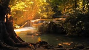 Успокаивающая музыка для нервов 🌿 лечебная музыка для сердца и сосудов, релакс, музыка для души